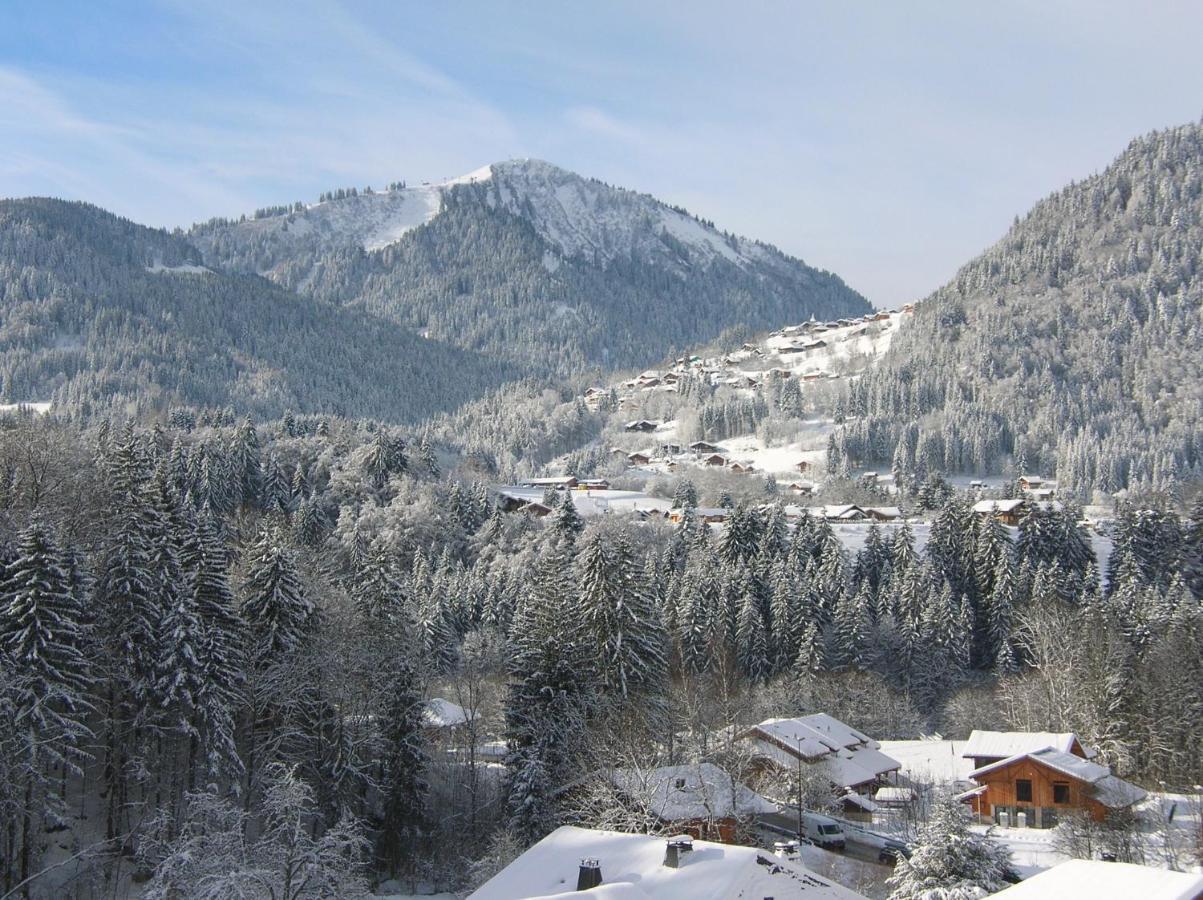 Chalet Génépi Montriond Extérieur photo