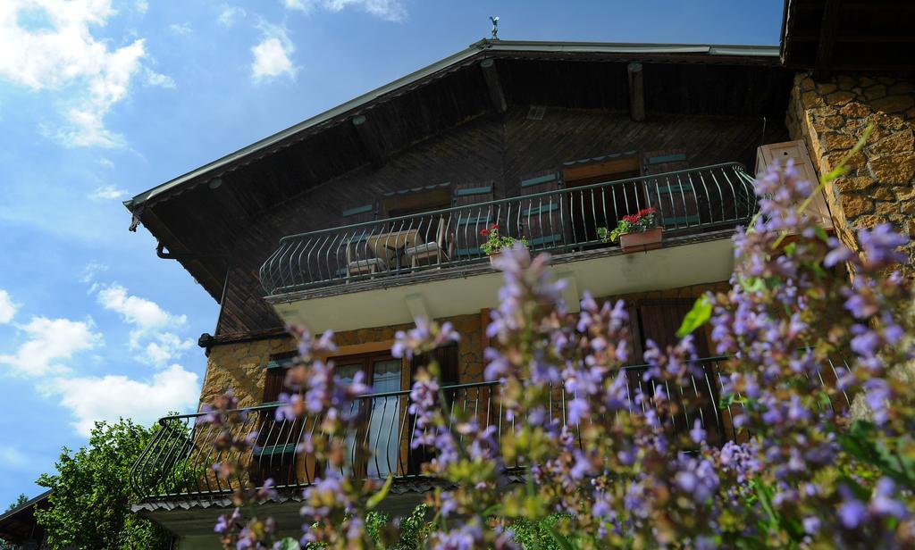 Chalet Génépi Montriond Extérieur photo