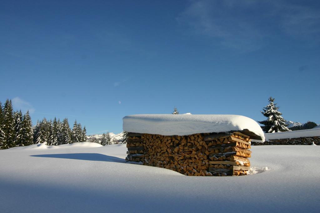 Chalet Génépi Montriond Extérieur photo